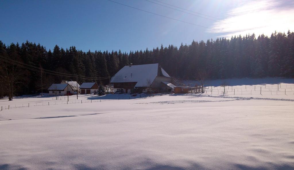 Ferienwohnung Schwarzwaldhof Titisee-Neustadt Exterior photo