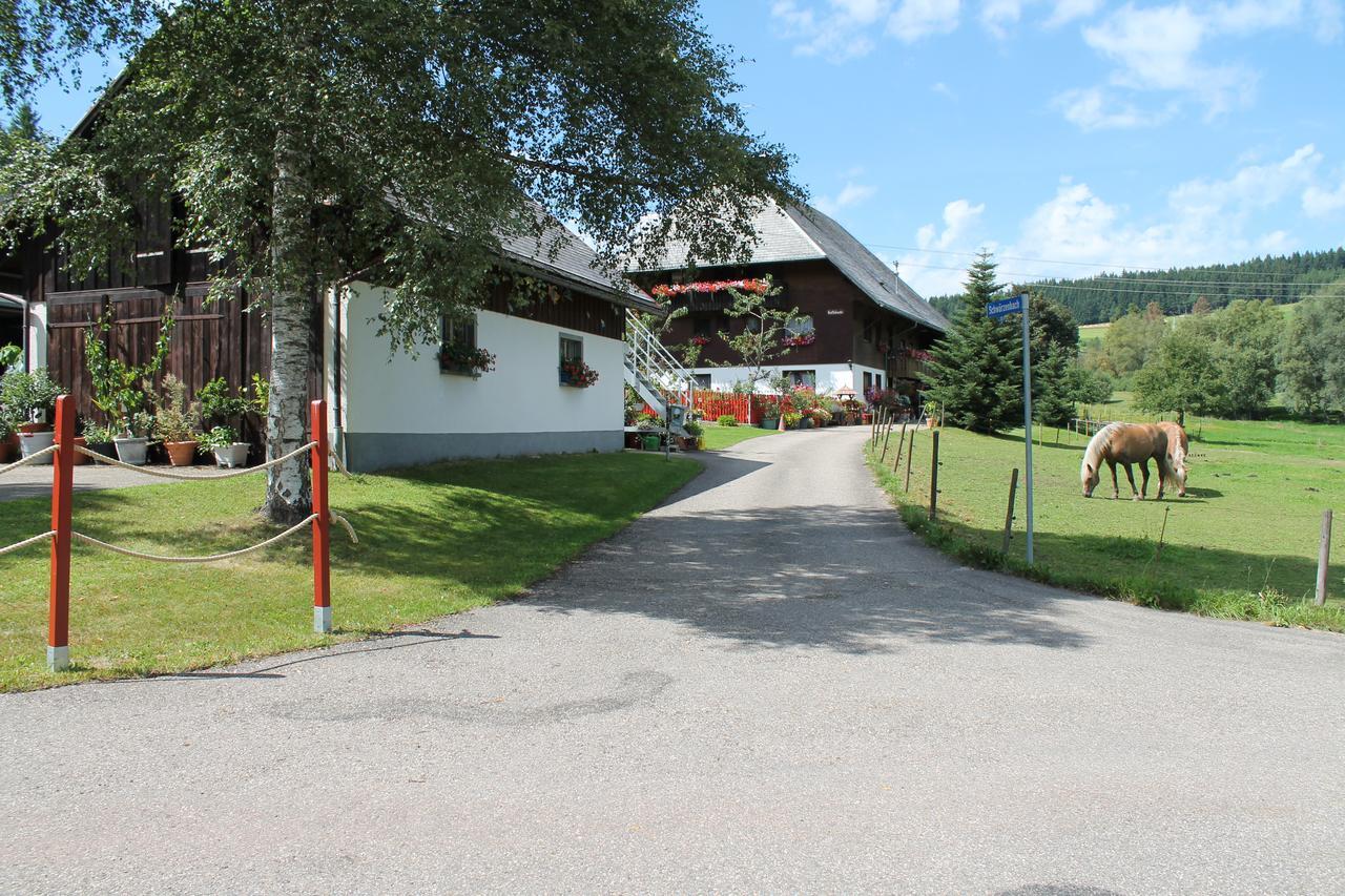 Ferienwohnung Schwarzwaldhof Titisee-Neustadt Exterior photo